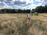 Hundeauslaufgebiet-Hundewiese Witten-Herbede-Bild