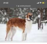 Wer bin ich?-Beitrag-Bild