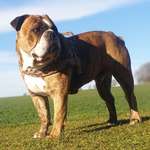 Ersteller:in Geli und Max Profilbild