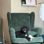 Ersteller:in Lio Profilbild