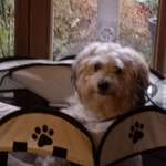 Ersteller:in Birgit Profilbild