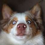 Ersteller:in Joleen Profilbild