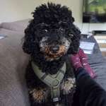 Ersteller:in Anuj Profilbild