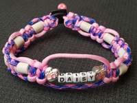 Rund um den Hund-Beitrag-Bild