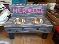 Alles für Hund und Katz-Beitrag-Bild