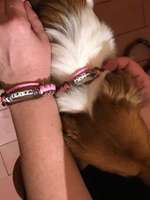 Danke an euch alle für euer Vertrauen-Beitrag-Bild