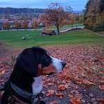 Ersteller:in Alexandra Profilbild