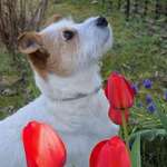 Ersteller:in Ina & Tim Profilbild