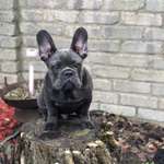 Ersteller:in Pablo ❤️ Steffi Profilbild