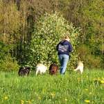 Ersteller:in Nathalie Profilbild