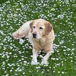 Ersteller:in Hilde Profilbild