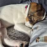 Ersteller:in Melanie Profilbild