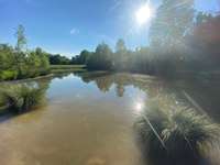 Hundeauslaufgebiet-Rheinpark Neuss-Bild