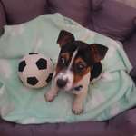 Ersteller:in Jenny Profilbild