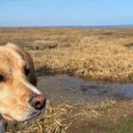 Ersteller:in Carina Profilbild