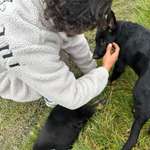 Ersteller:in X Profilbild