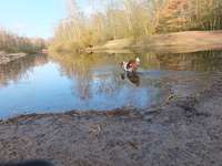 Hundeauslaufgebiet-Uni Wildnis-Bild