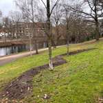 Hundeauslaufgebiet-Wiese mit Zugang zu Wasser-Bild