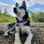 Ersteller:in Timo Profilbild