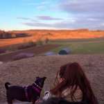 Ersteller:in Larissa Profilbild