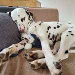 Ersteller:in Laura Profilbild