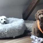 Ersteller:in Annette Profilbild