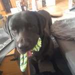 Ersteller:in Carmen Profilbild