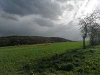 Hundeauslaufgebiet-Arolser Feld-Bild