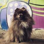 Ersteller:in Stefanie Profilbild