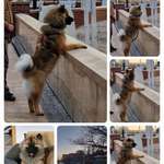 Ersteller:in Sabine Profilbild