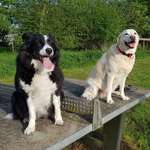 Ersteller:in Sandra Profilbild