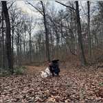 Ersteller:in Lea Profilbild