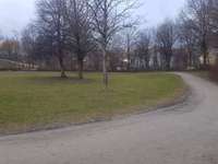 Hundeauslaufgebiet-Große Wiese vor dem Abenteuerspielplatz-Bild