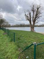 Hundeauslaufgebiet-Hundestrand Salzgittersee-Bild