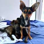 Ersteller:in Nala Profilbild