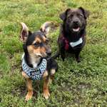 Ersteller:in Nala Profilbild