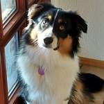 Ersteller:in Gaby Profilbild