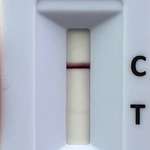Giardien Schnelltest-Beitrag-Bild