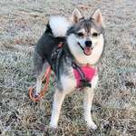 Ersteller:in Nancy Profilbild