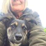 Ersteller:in Heike Profilbild