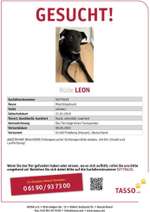 Suchmeldung-Leon-Bild