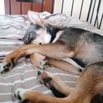 Ersteller:in Benny Profilbild