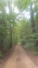 Hundeauslaufgebiet-Heuchlingen Gassi gehen Richtung Limes-Bild