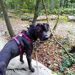 Ersteller:in Andre Profilbild