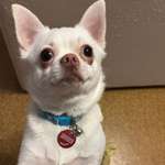 Ersteller:in Donna Profilbild