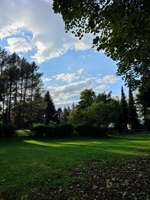 Hundeauslaufgebiet-Hundepark Grete-Bittner-Straße-Bild