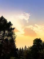 Hundeauslaufgebiet-Hundepark Grete-Bittner-Straße-Bild