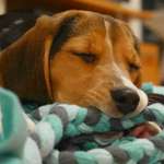 Zubehör selbst machen-Beitrag-Bild