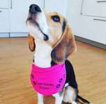 Zubehör selbst machen-Beitrag-Bild