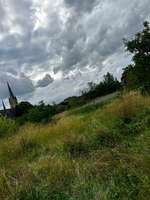 Hundeauslaufgebiet-Wattenscheid Kruppwald-Bild